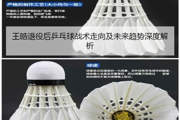王皓退役后乒乓球战术走向及未来趋势深度解析