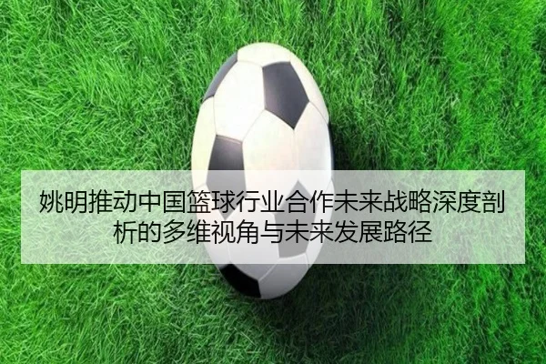 yao-ming-tui-dong-zhong-guo-lan-qiu-hang-ye-he-zuo-wei-lai-zhan-lve-shen-du-pou-xi-de-duo-wei-shi-jiao-yu-wei-lai-fa-2-463.jpg