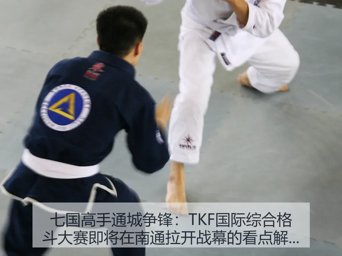 七国高手通城争锋:TKF国际综合格斗大赛即将在南通拉开战幕的看点解析